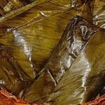 🌮👩‍🍳 ¡Aprende a hacer la mejor receta de tamales de Veracruz! 🌶️🌽